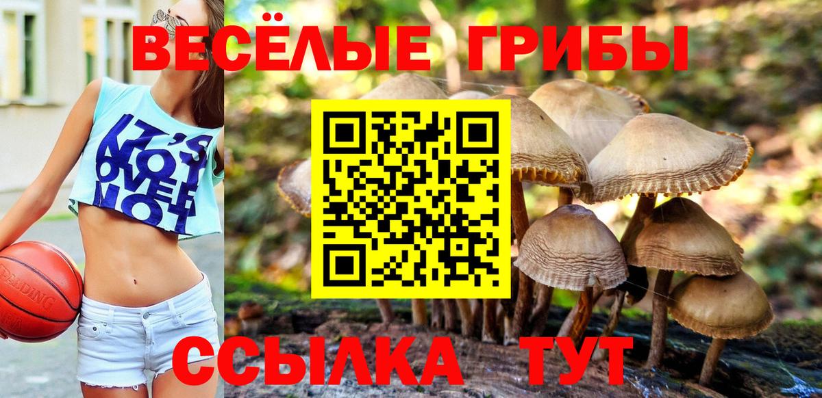 Псилоцибиновые грибы MAGIC MUSHROOMS Краснокаменск