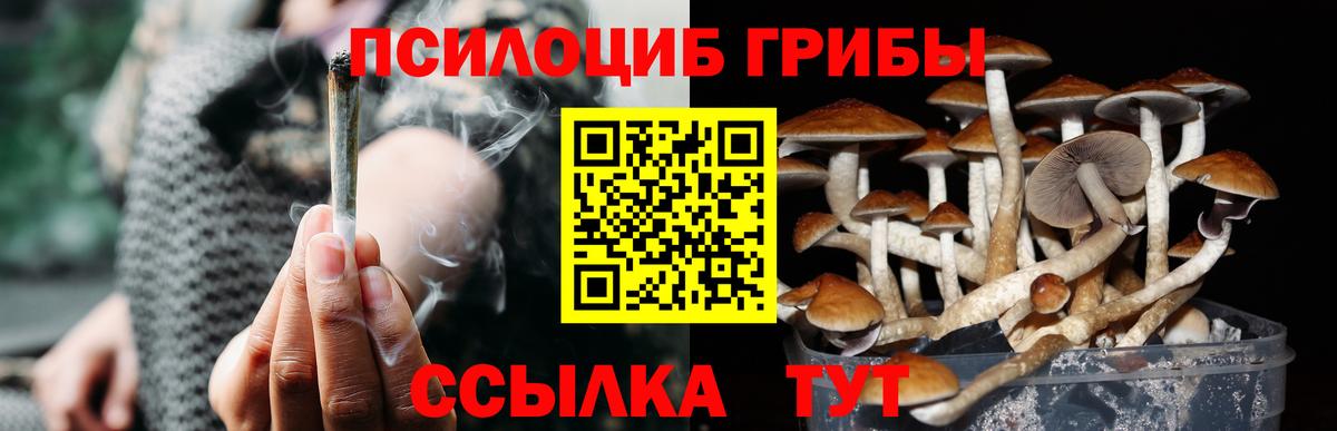 Псилоцибиновые грибы ЛСД  Вход с VPN  Краснокаменск 